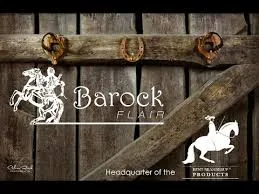 barock-flair.com