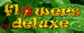 flowers-deluxe.de