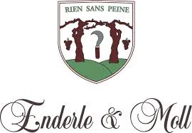 enderle-moll.shop