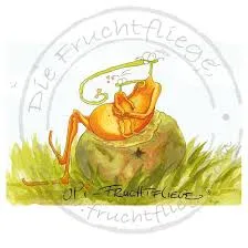 fruchtfliege.com