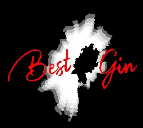 best-gin.de