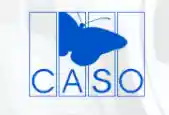 caso.de