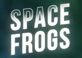 spacefrogs.shop